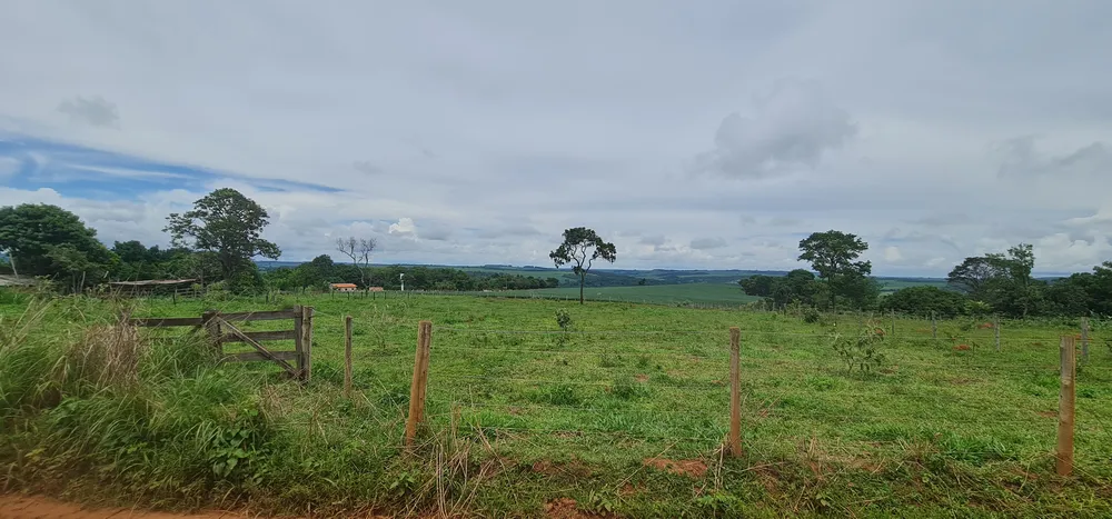 Fazenda, 4500 m² - Foto 2