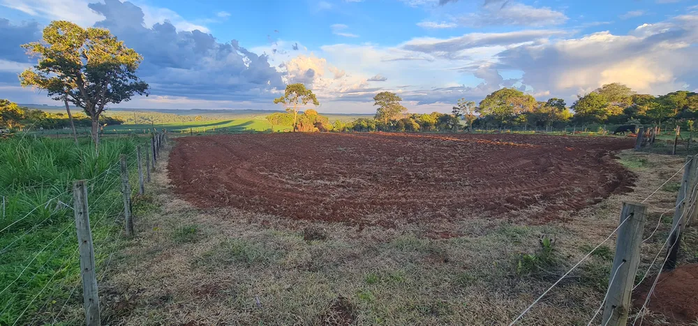 Fazenda, 4500 m² - Foto 3