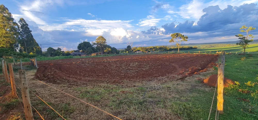 Fazenda, 4500 m² - Foto 4