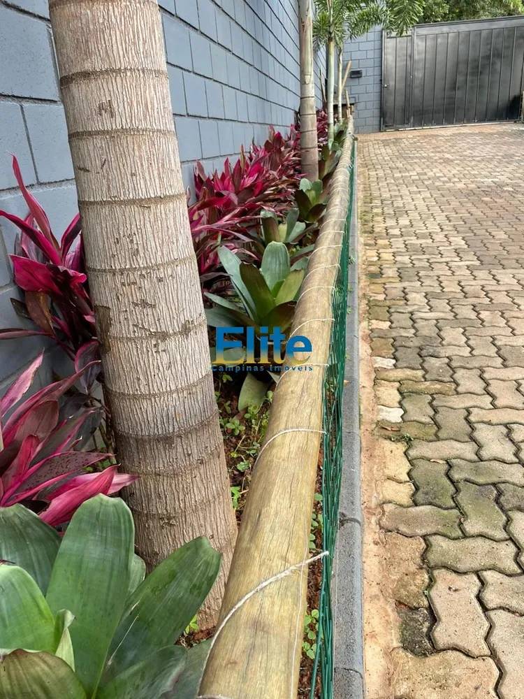 Chácara, 4 quartos, 1000 m² - Foto 12