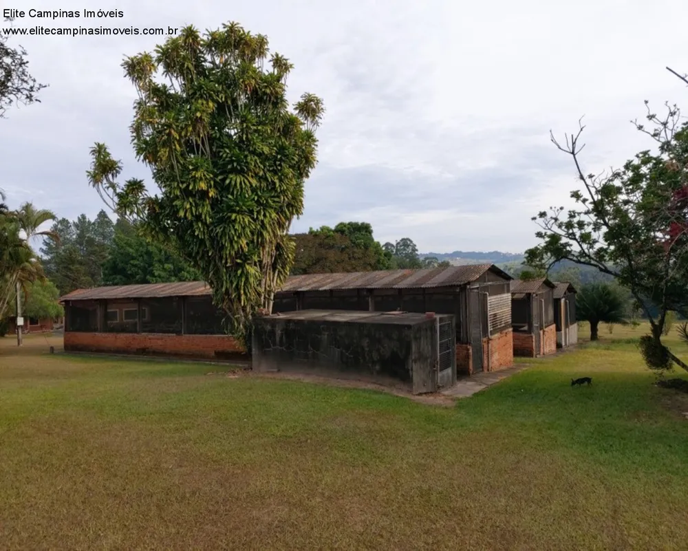 Fazenda, 17 hectares - Foto 9