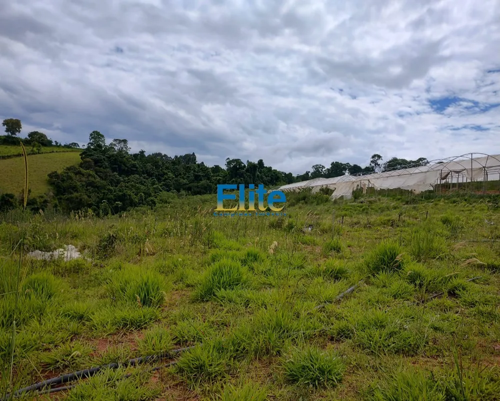 Sítio - Foto 7