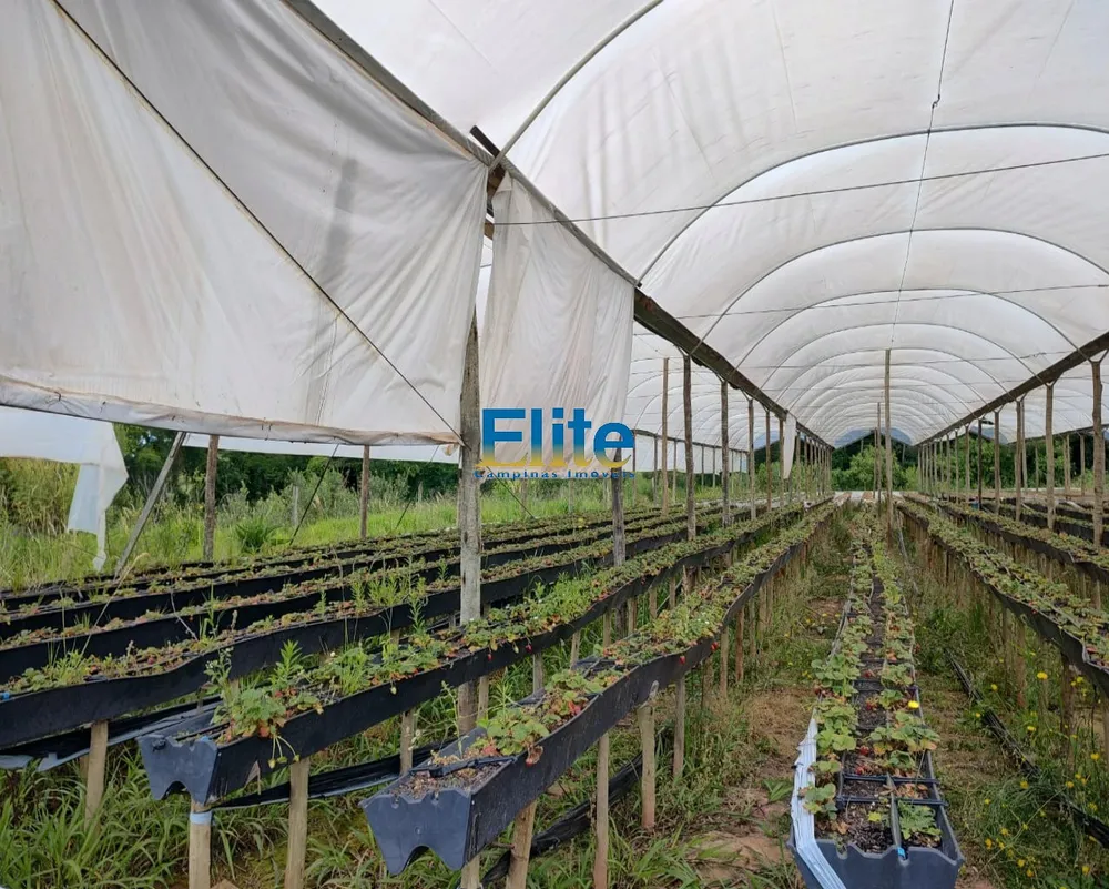 Sítio - Foto 5