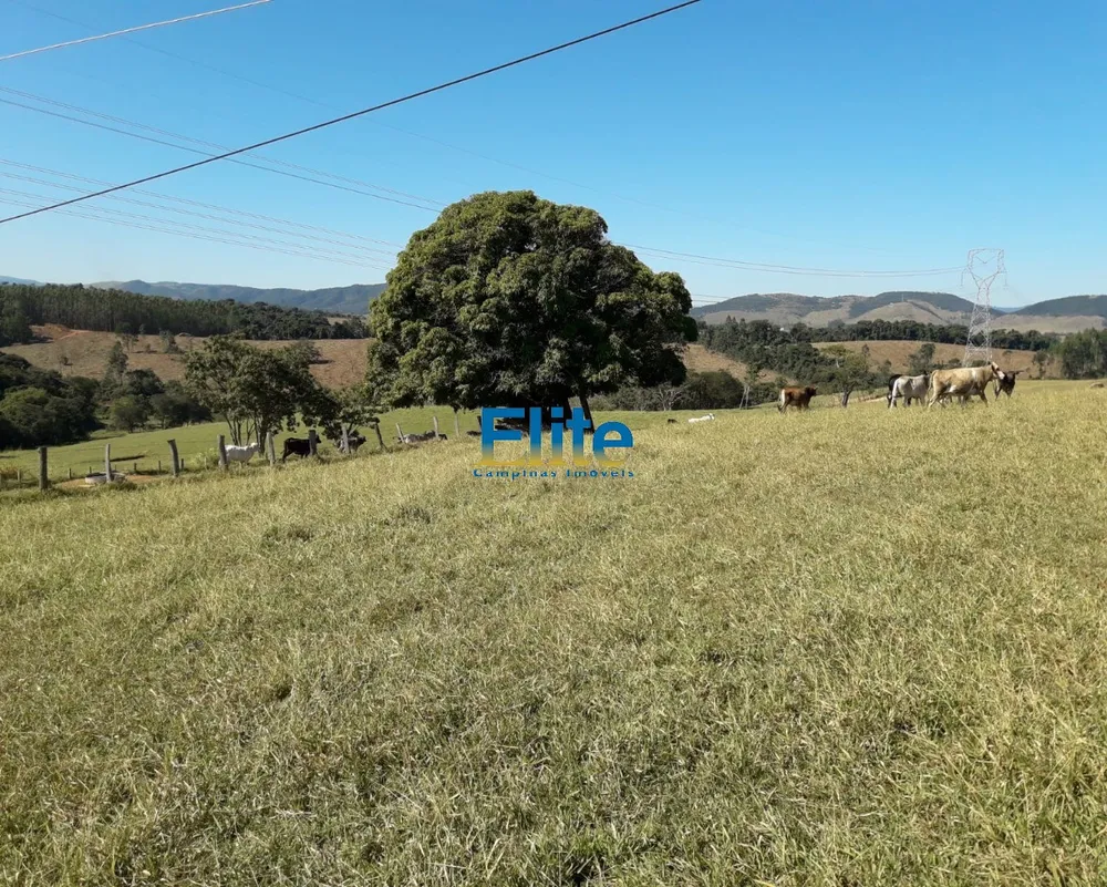 Fazenda, 30 m² - Foto 7