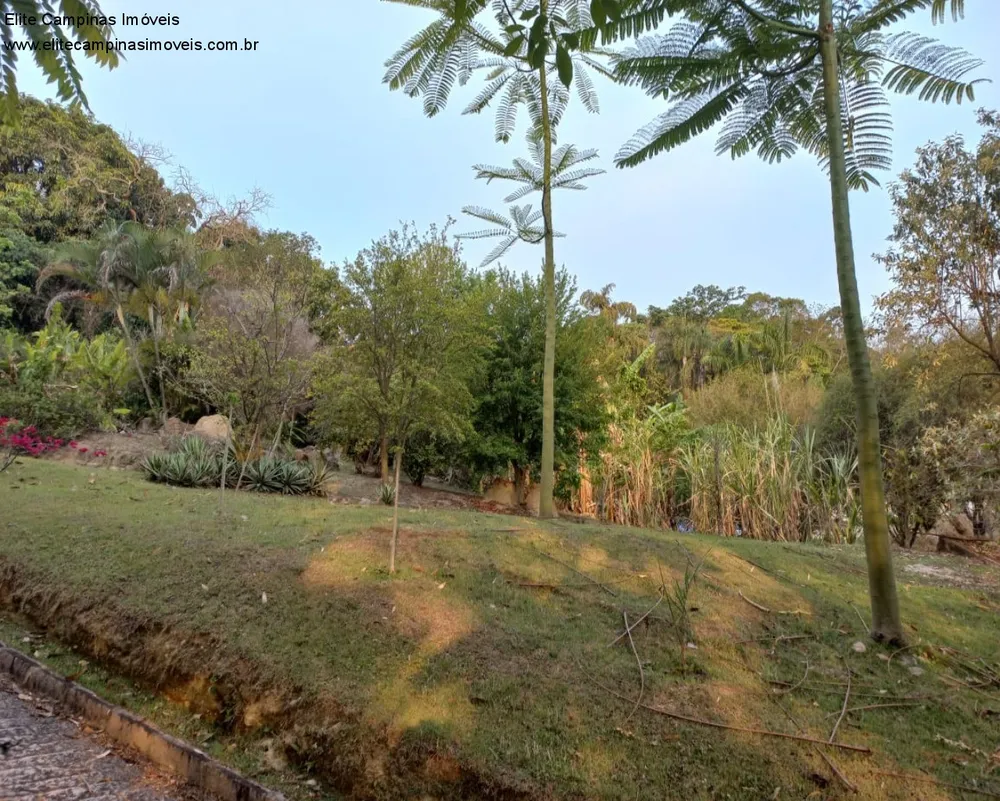 Sítio, 2 quartos, 2820 m² - Foto 8