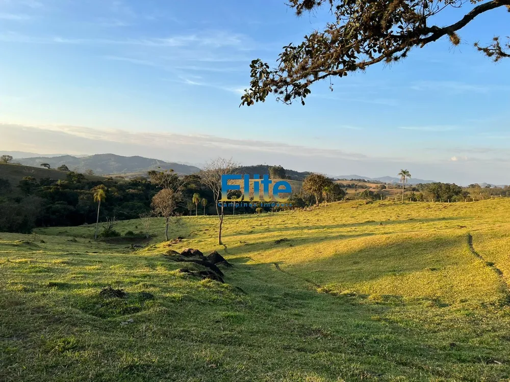 Fazenda, 3 quartos - Foto 8
