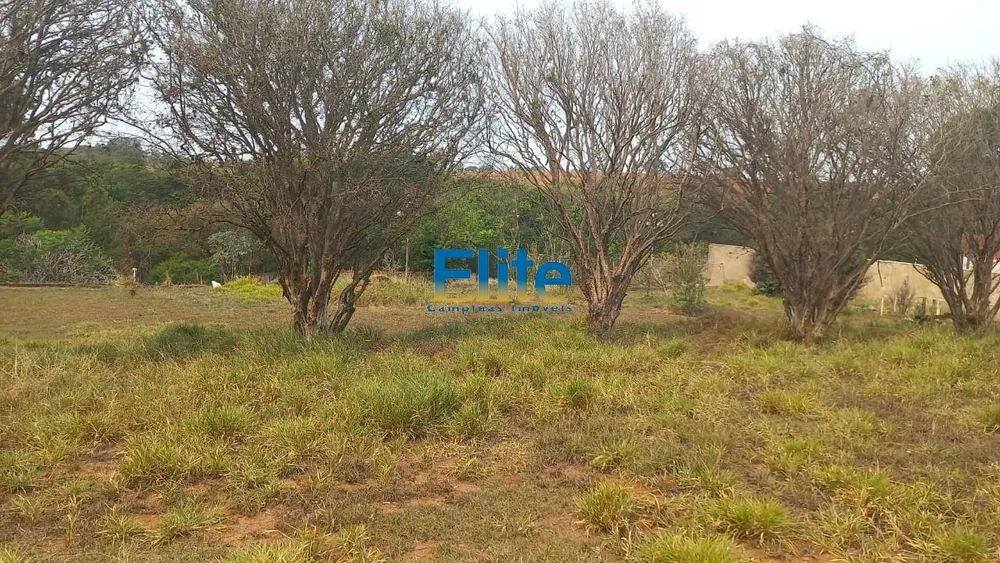 Sítio, 2 quartos, 6100 m² - Foto 8
