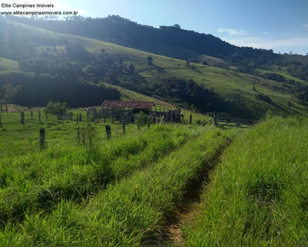 Fazenda, 60 m² - Foto 5