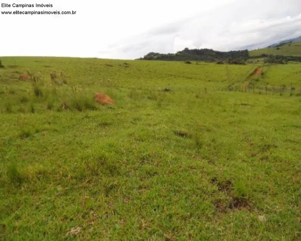 Fazenda, 60 m² - Foto 15