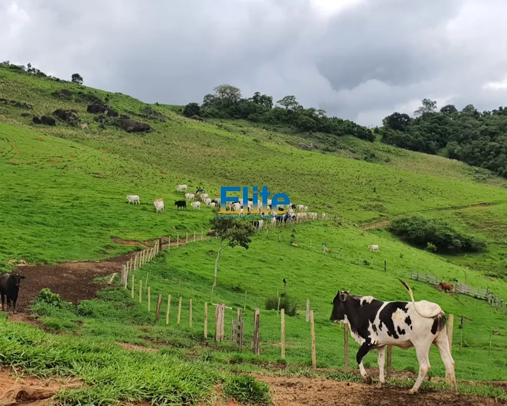 Fazenda, 60 m² - Foto 14
