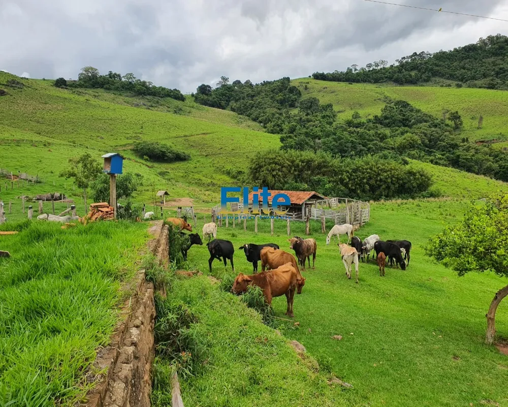 Fazenda, 60 m² - Foto 15