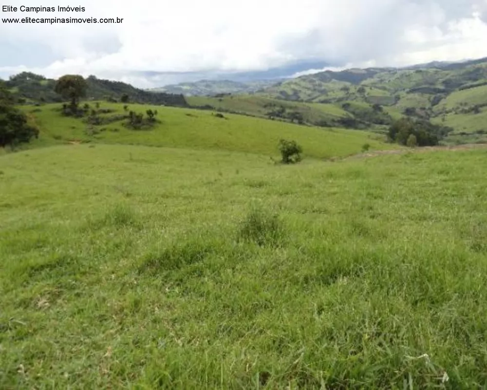 Fazenda, 60 m² - Foto 19