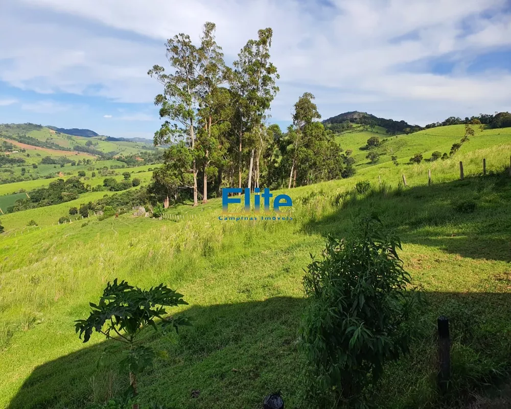 Fazenda, 60 m² - Foto 4