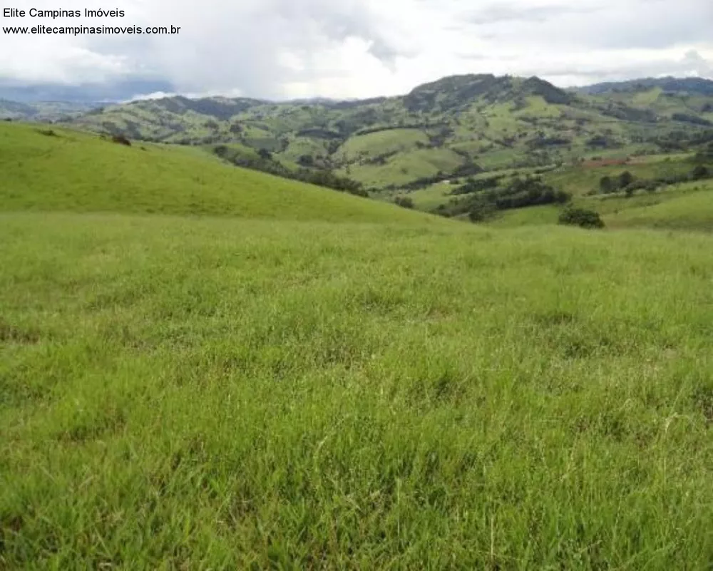 Fazenda, 60 m² - Foto 12