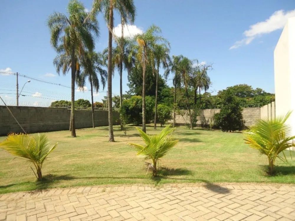 Terreno, 290 m² - Foto 5