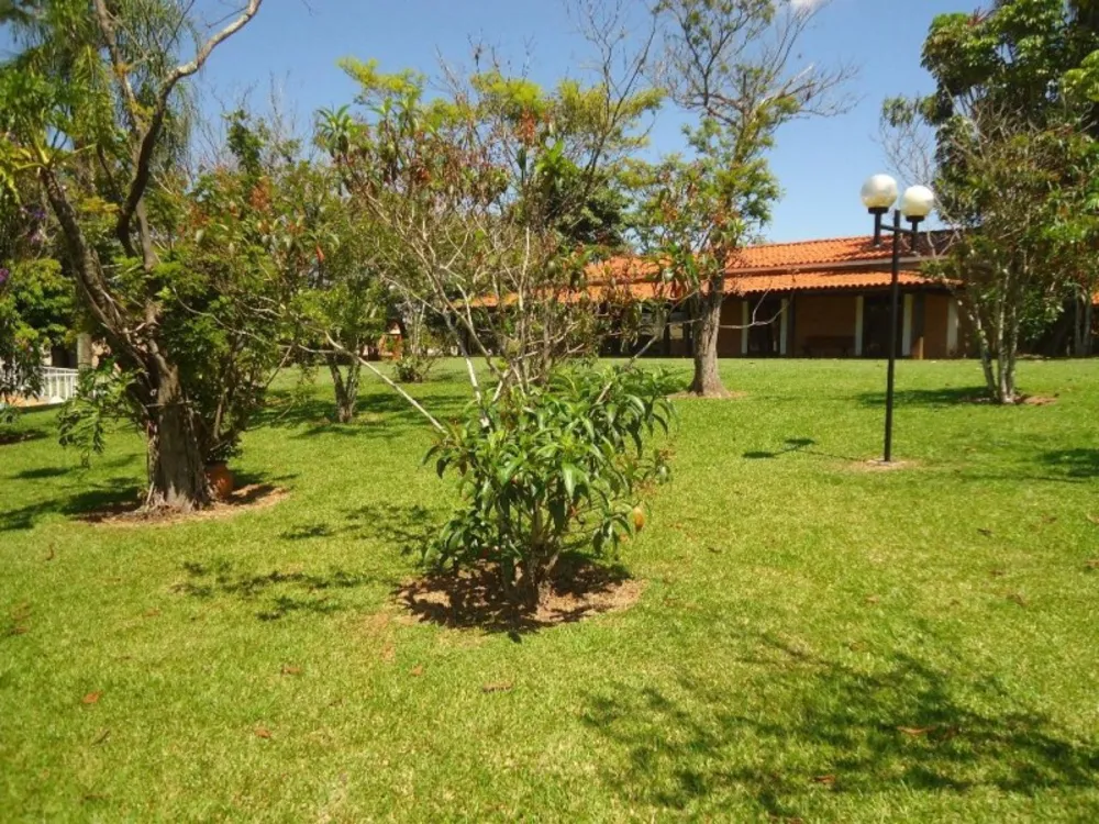 Terreno, 290 m² - Foto 6