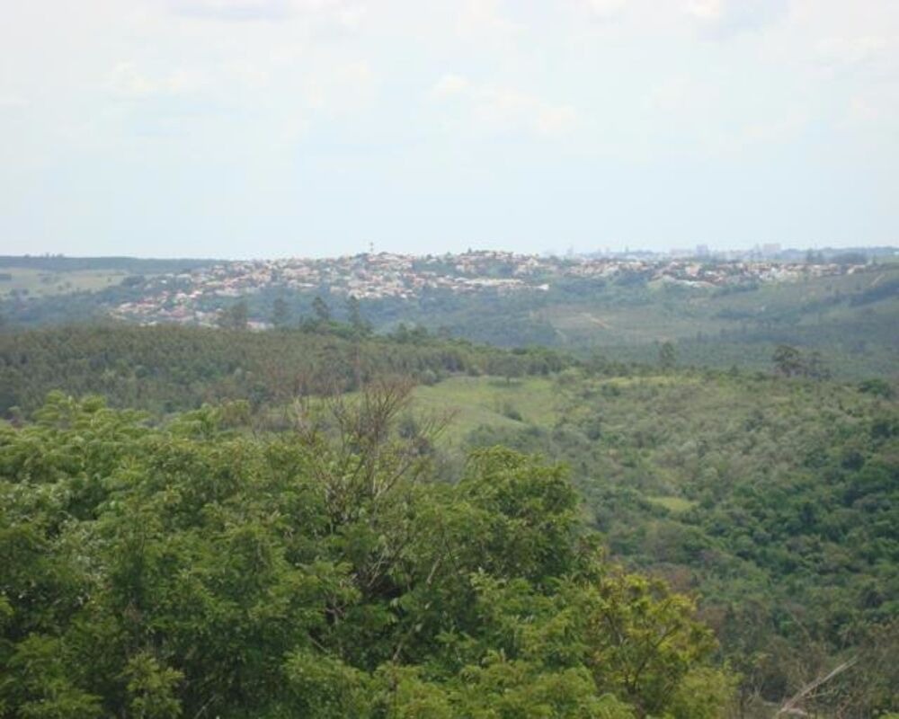 Terreno, 73500 m² - Foto 3