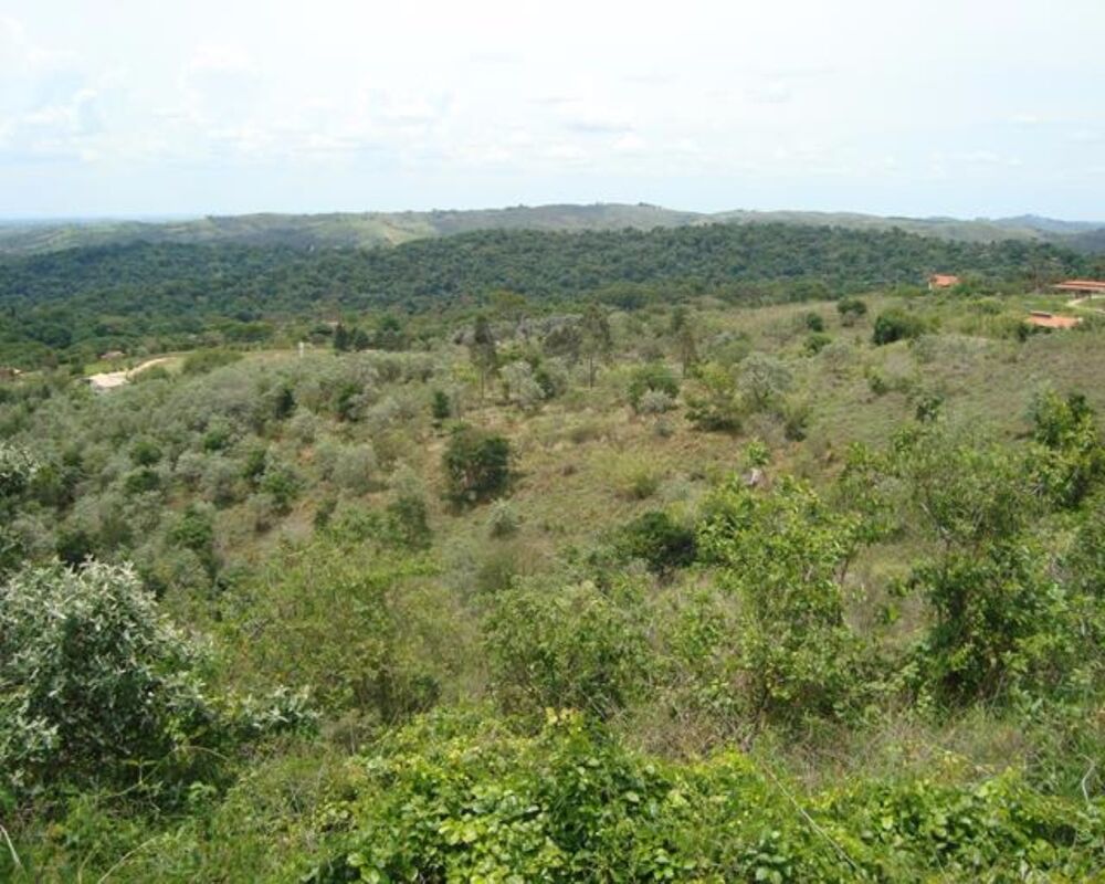 Terreno, 73500 m² - Foto 4
