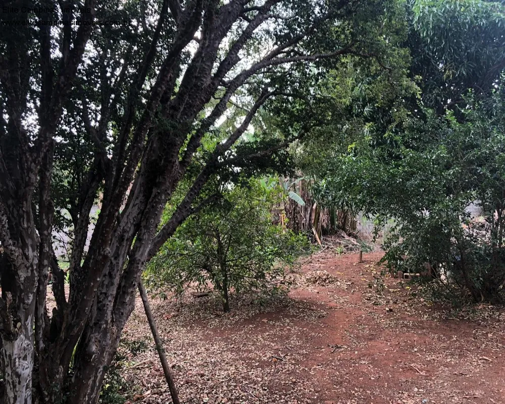 Prédio Inteiro - Foto 3
