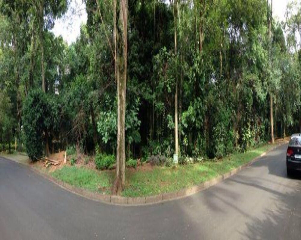 Terreno, 2000 m² - Foto 1