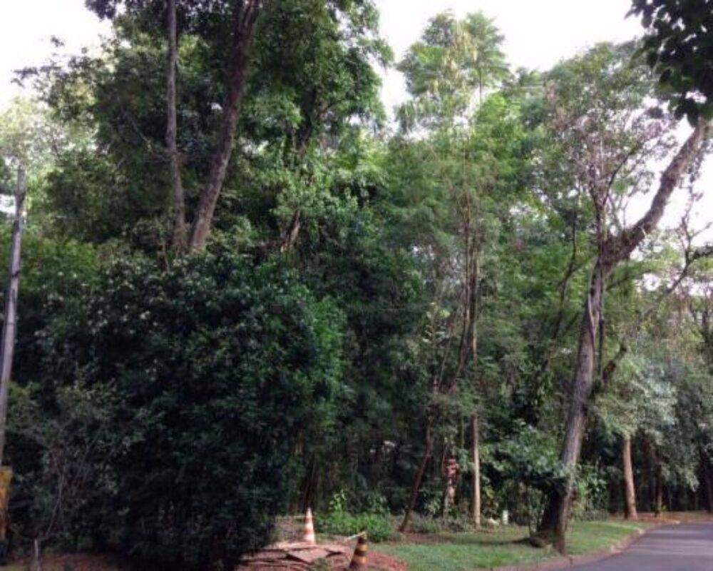 Terreno, 2000 m² - Foto 2