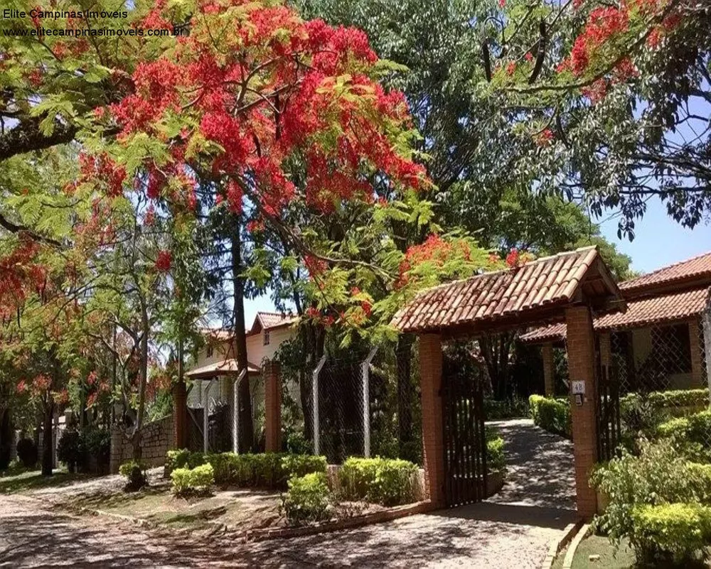 Fazenda à venda com 3 quartos, 2500m² - Foto 2