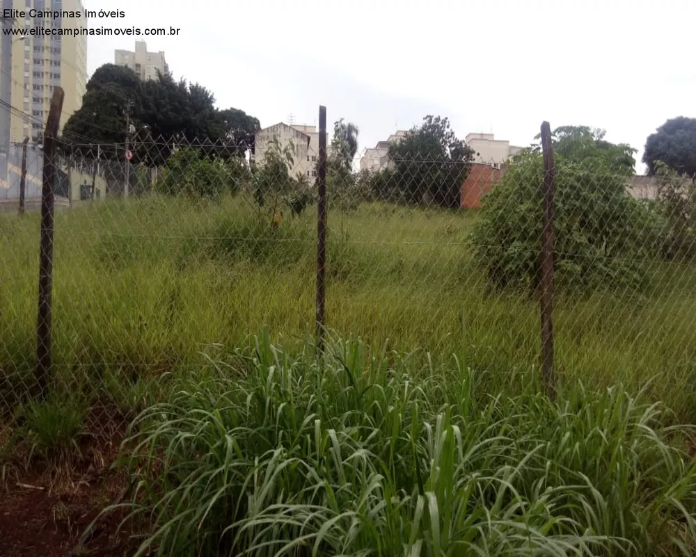 Loteamento e Condomínio - Foto 4