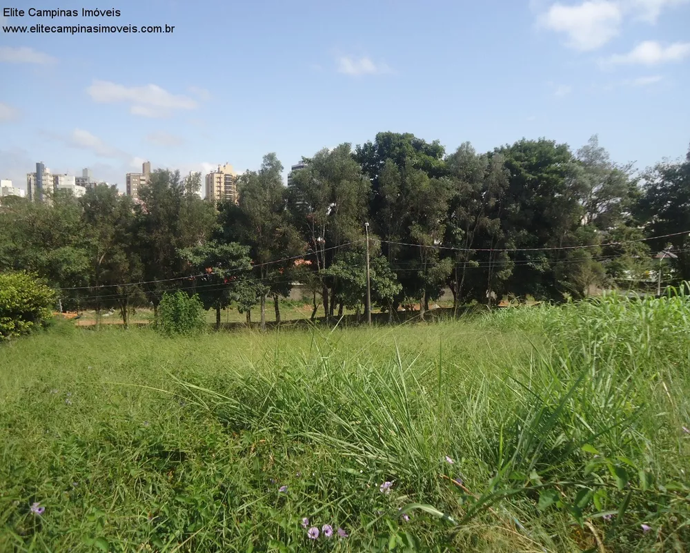 Loteamento e Condomínio à venda, 1000m² - Foto 3