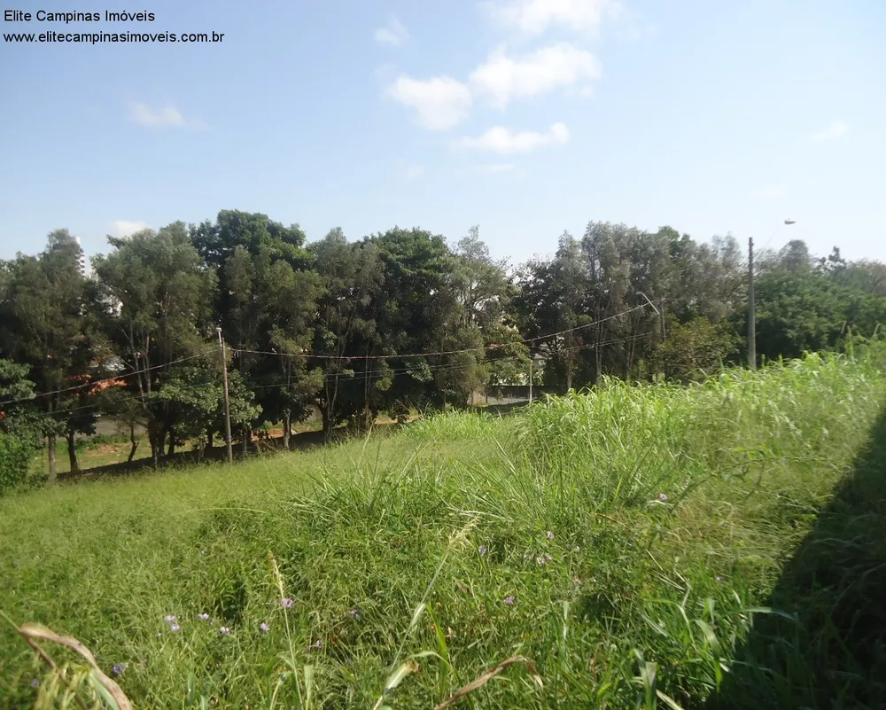 Loteamento e Condomínio à venda, 1000m² - Foto 4