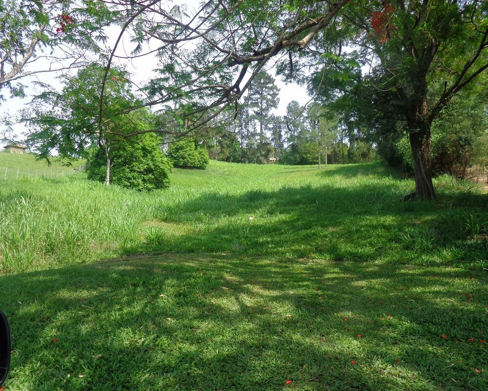 Terreno, 5300 m² - Foto 6