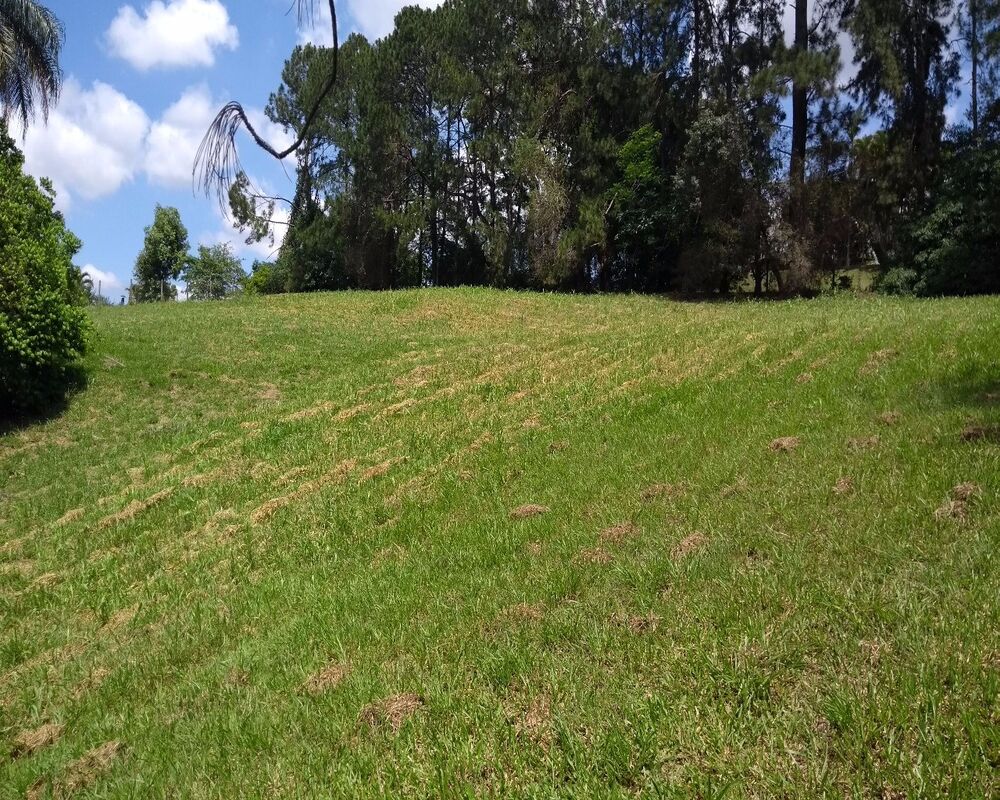 Terreno, 5300 m² - Foto 3