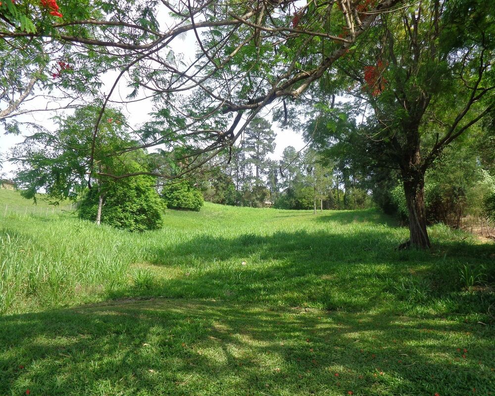 Terreno, 5300 m² - Foto 2