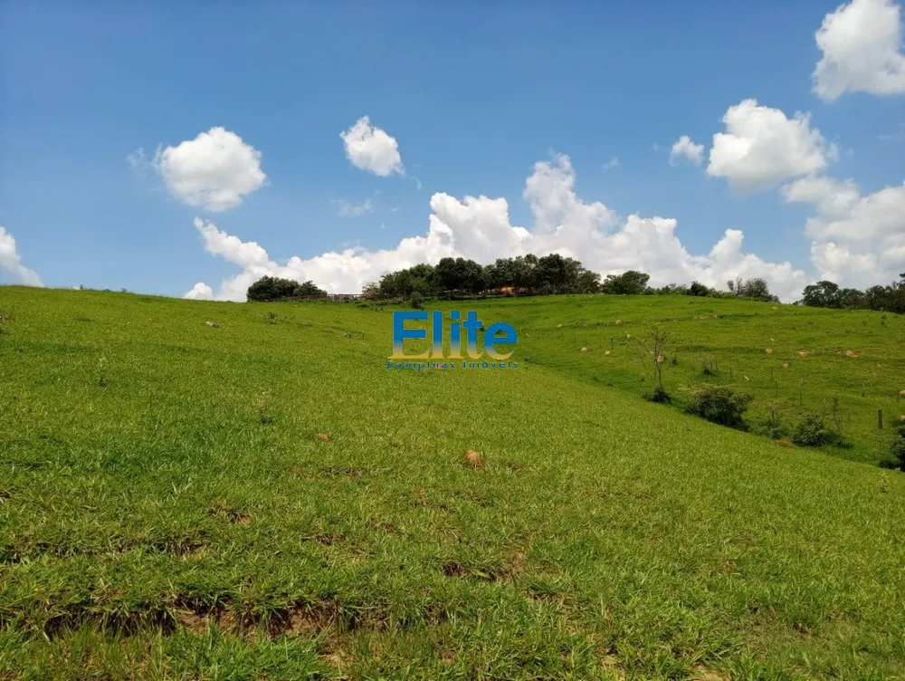 Fazenda - Foto 5