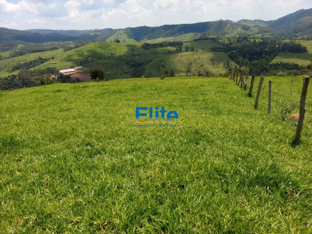 Fazenda - Foto 4