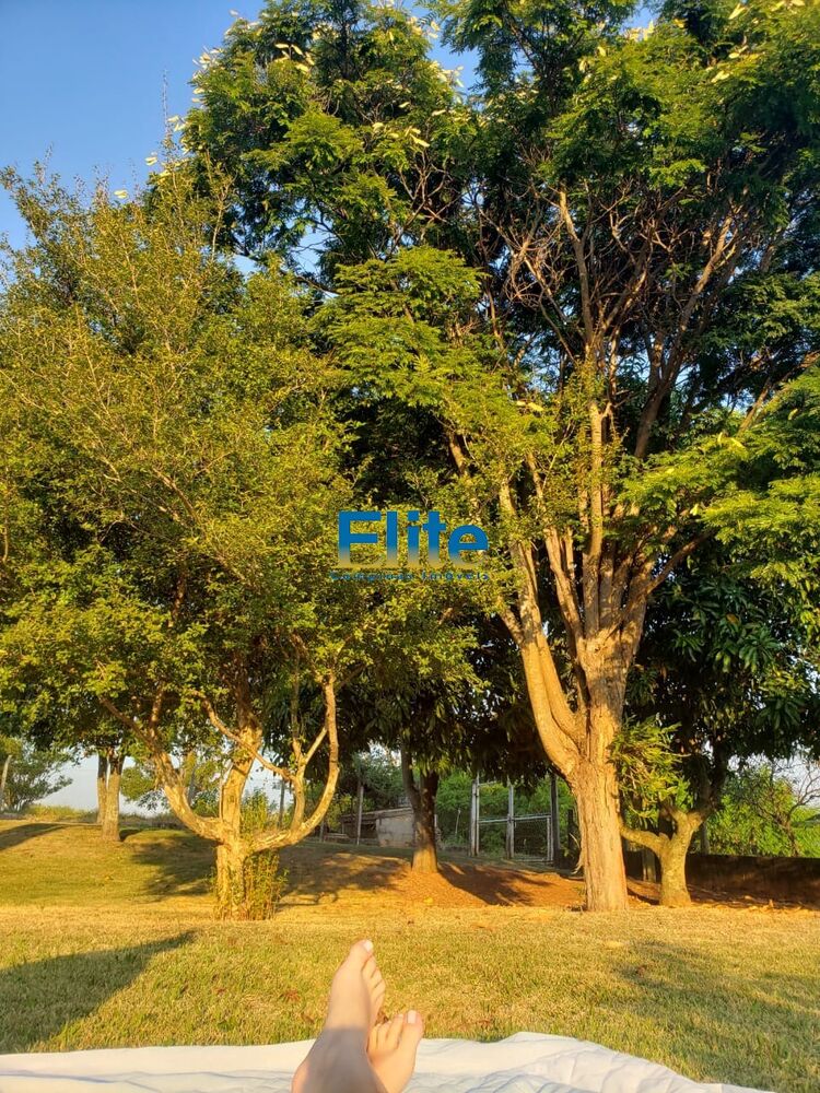 Fazenda - Foto 3