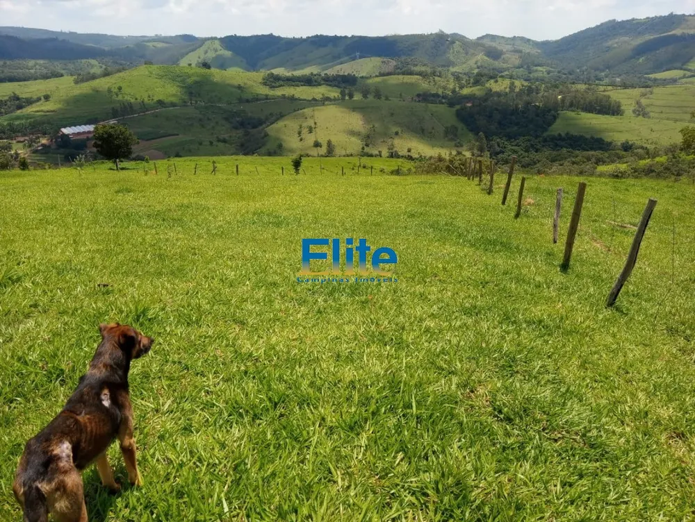 Fazenda - Foto 6