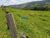 Fazenda - Foto 4