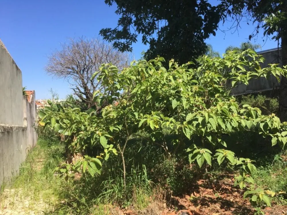Terreno, 511 m² - Foto 6
