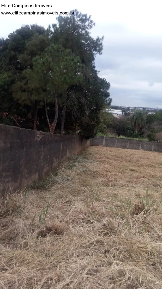 Terreno, 1000 m² - Foto 1
