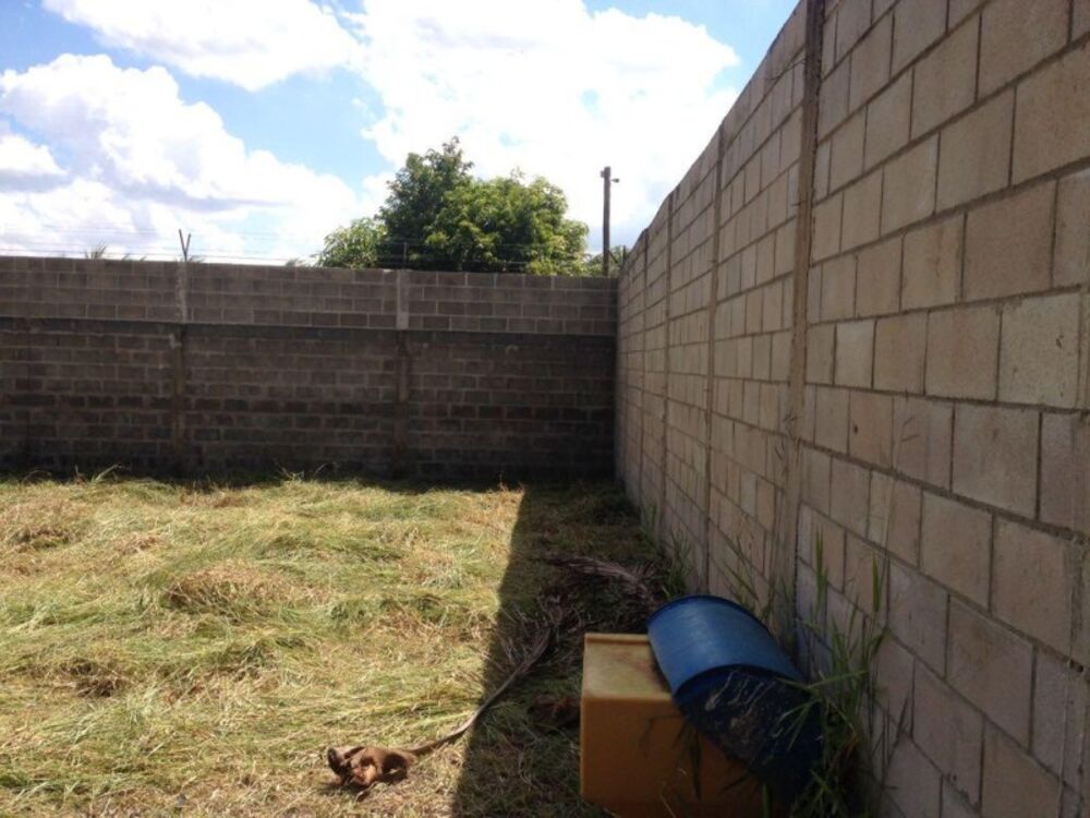 Chácara, 1380 m² - Foto 3