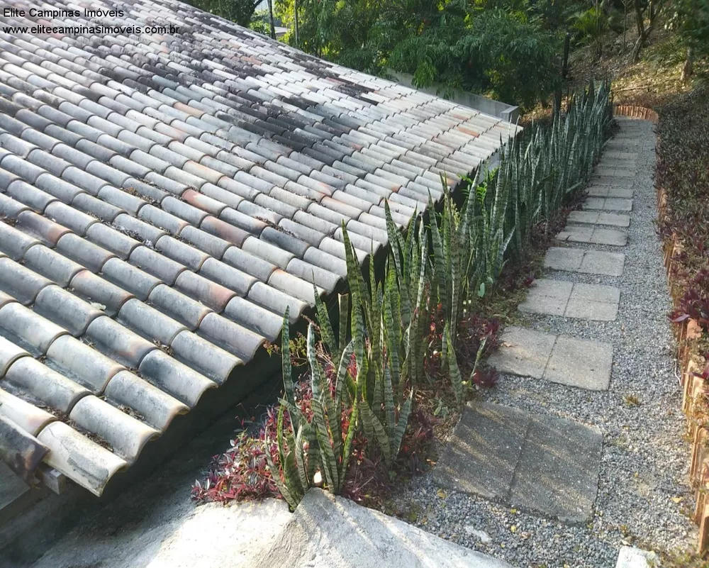 Chácara, 3 quartos, 1 hectares - Foto 5