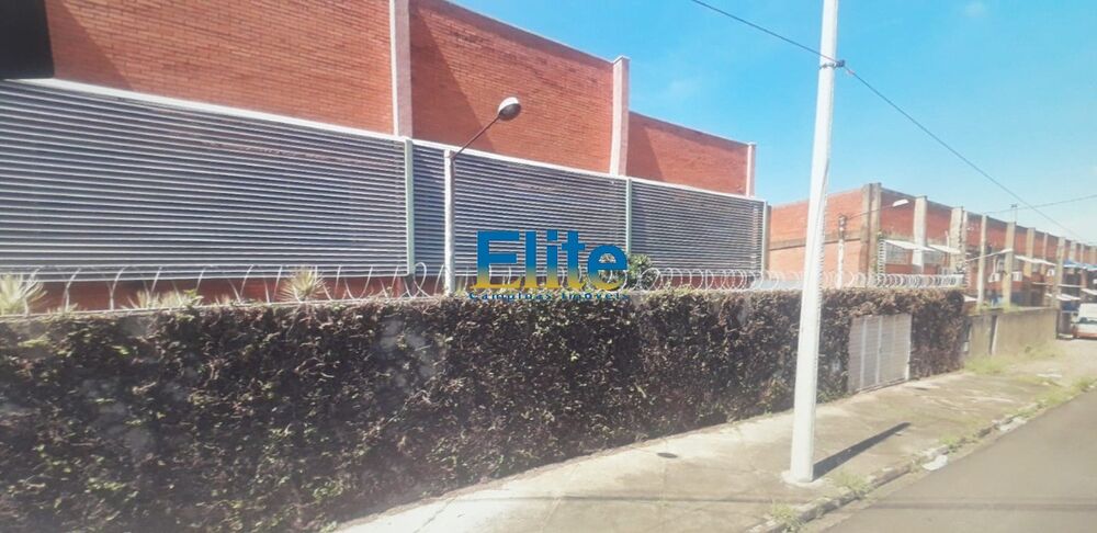 Depósito-Galpão - Foto 1