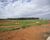 Terreno, 880 m² - Foto 7