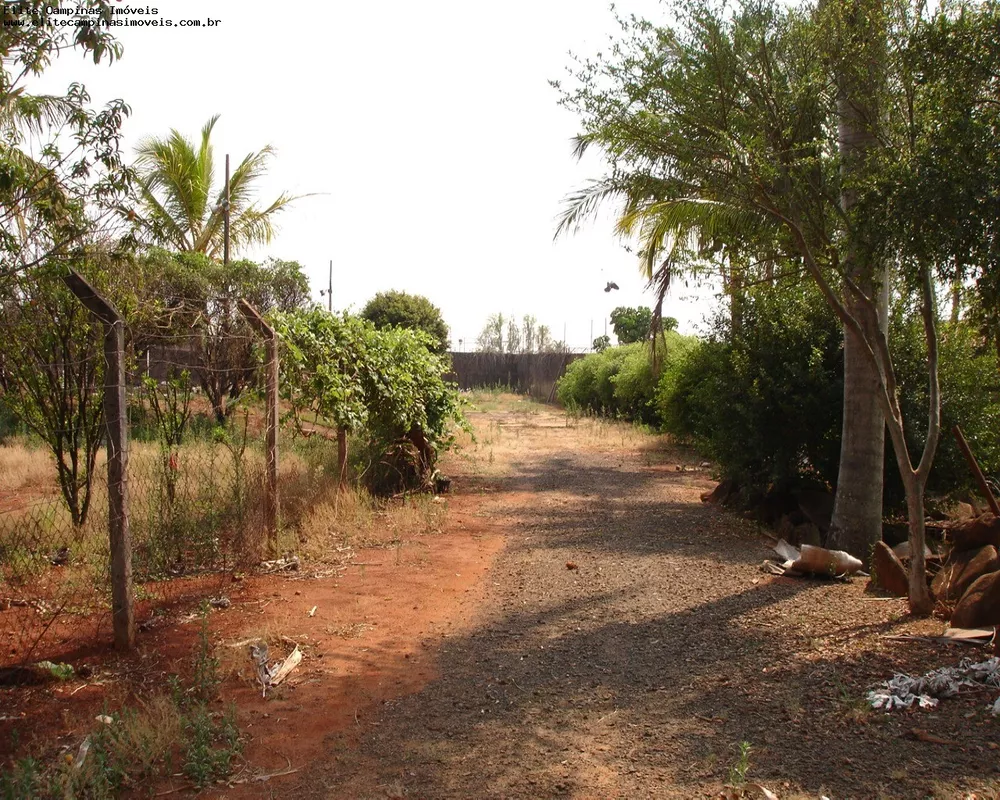 Terreno, 4350 m² - Foto 4
