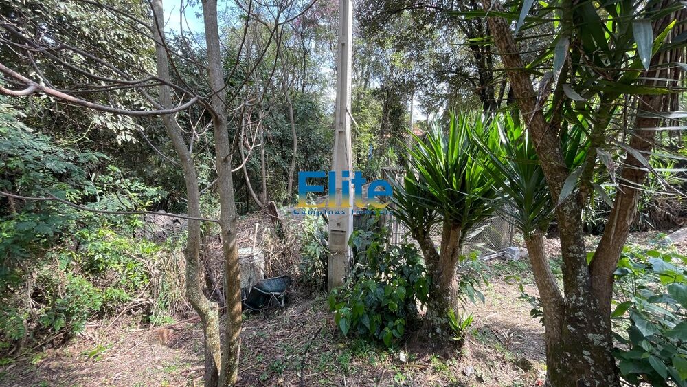 Terreno, 1686 m² - Foto 4