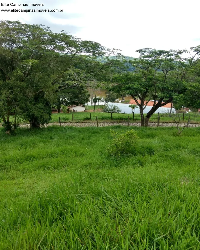 Sítio, 3 quartos, 10 m² - Foto 13