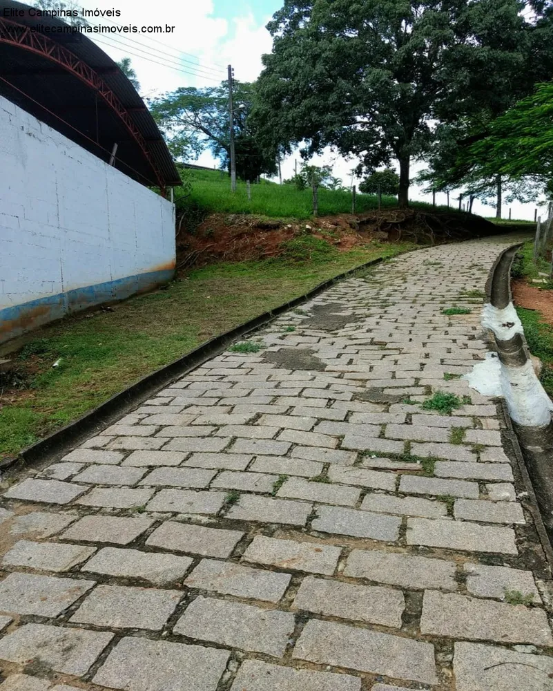 Sítio, 3 quartos, 10 m² - Foto 5