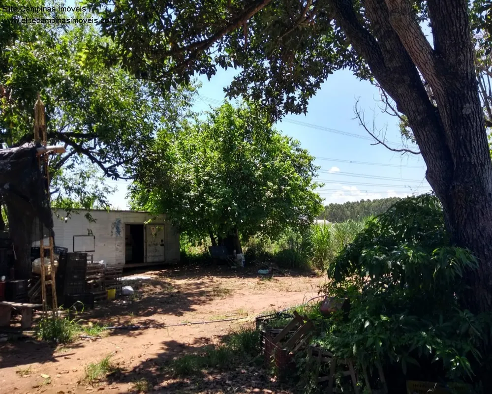 Terreno, 11 hectares - Foto 7