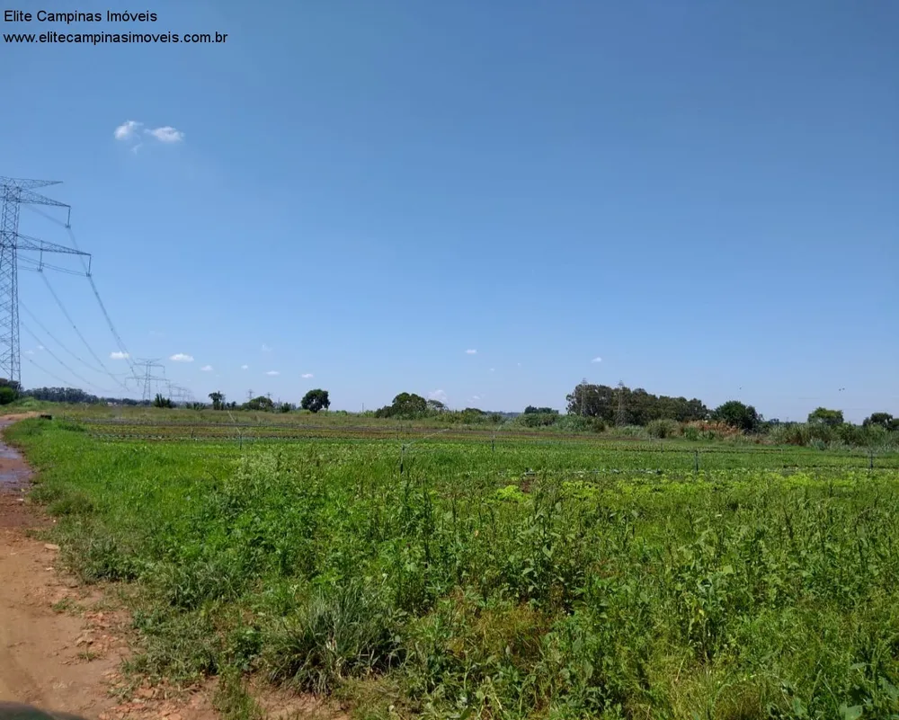 Terreno, 11 hectares - Foto 13