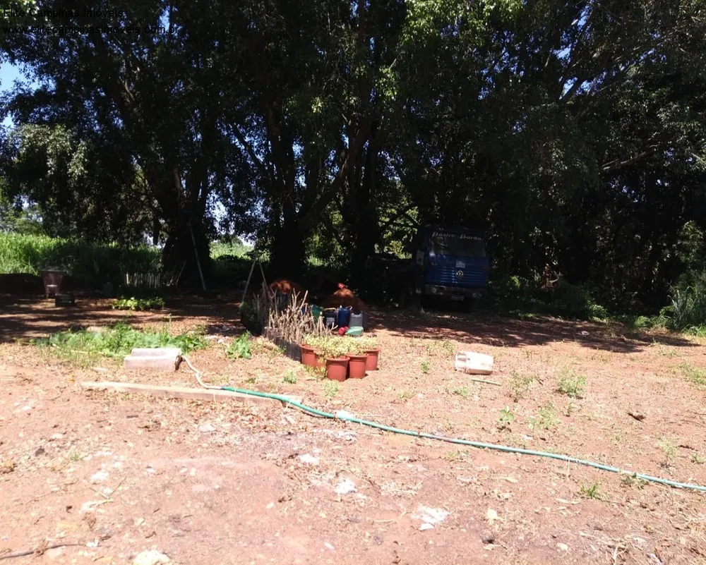 Terreno, 11 hectares - Foto 3